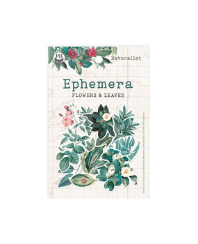 P13 Naturalist Ephemera Flowers and Leaves (P13-NAT-26)