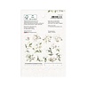 P13 Love and Lace Ephemera Flowers and Leaves (P13-LAL-26) P13 Love and Lace Ephemera Flowers and Leaves (P13-LAL-26)