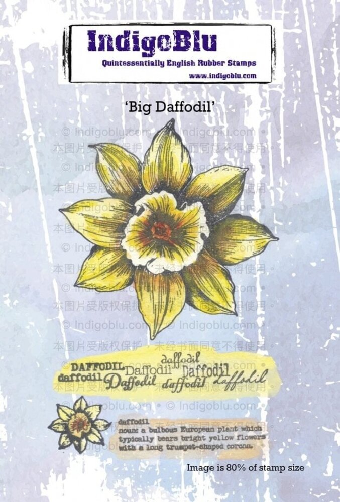 IndigoBlu Big Daffodil A6 Rubber Stamps (IND1270) IndigoBlu Big Daffodil A6 Rubber Stamps (IND1270)