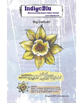 IndigoBlu Big Daffodil A6 Rubber Stamps (IND1270) IndigoBlu Big Daffodil A6 Rubber Stamps (IND1270)