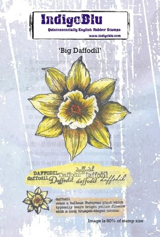 IndigoBlu Big Daffodil A6 Rubber Stamps (IND1270) IndigoBlu Big Daffodil A6 Rubber Stamps (IND1270)