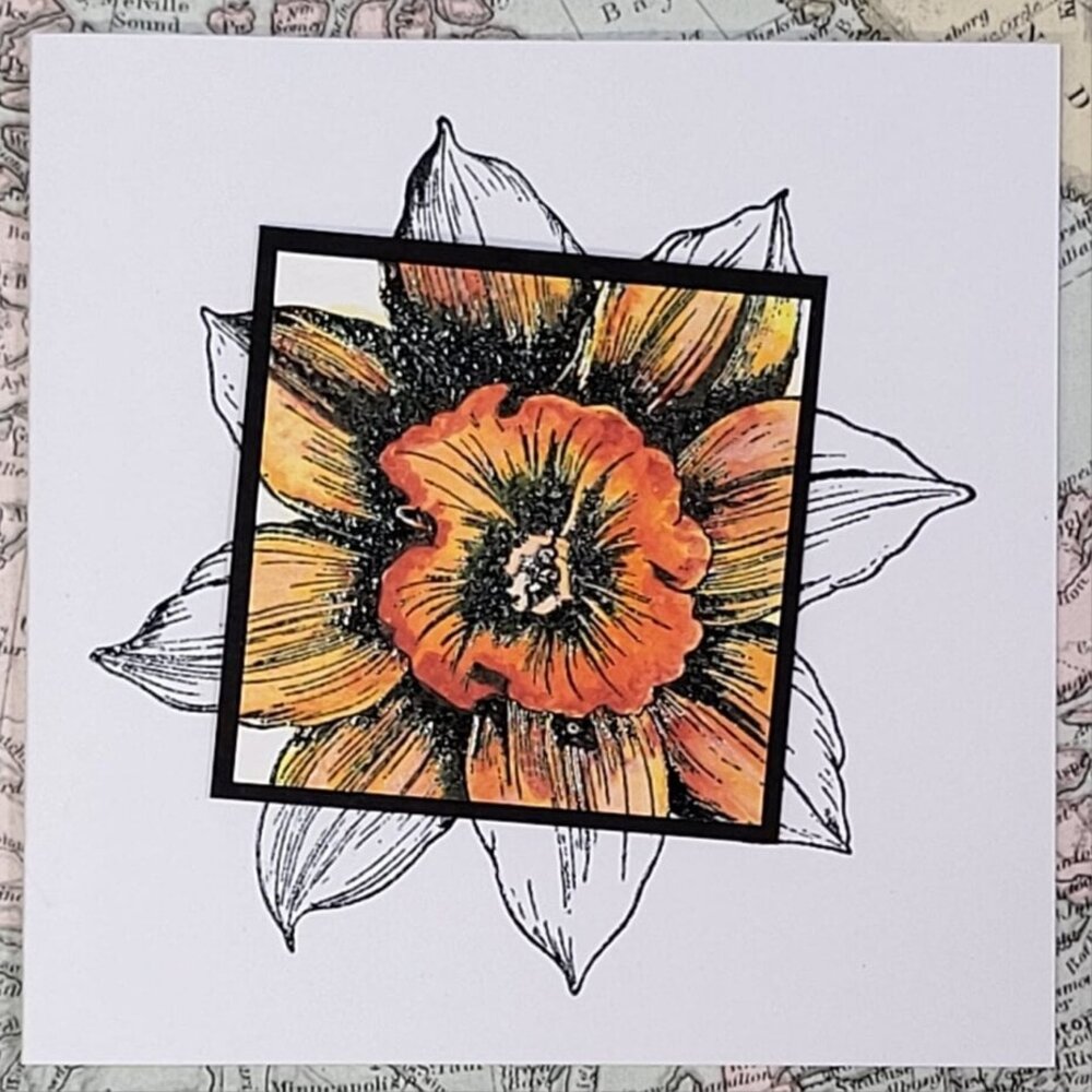 IndigoBlu Big Daffodil A6 Rubber Stamps (IND1270) IndigoBlu Big Daffodil A6 Rubber Stamps (IND1270)