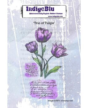 IndigoBlu Trio of Tulips A6 Rubber Stamps (IND1272)