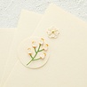 Spellbinders Color Essential Cardstock 8.5x11 Inch Barely Peach (CS-010) Spellbinders Color Essential Cardstock 8.5x11 Inch Barely Peach (CS-010)