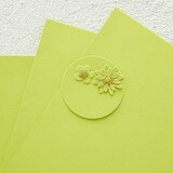 Spellbinders Color Essential Cardstock 8.5x11 Inch Peridot (CS-013)