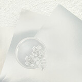 Spellbinders Mirror Cardstock 8.5x11 Inch Silver (SCS-124)