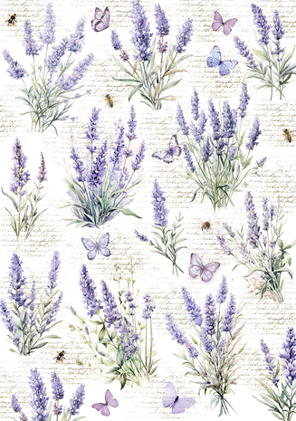 Ciao Bella Papercrafting Morning in Provence A4 Vellum Paper (CBV013) Ciao Bella Papercrafting Morning in Provence A4 Vellum Paper (CBV013)