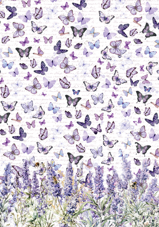 Ciao Bella Papercrafting Morning in Provence A4 Vellum Paper (CBV013) Ciao Bella Papercrafting Morning in Provence A4 Vellum Paper (CBV013)