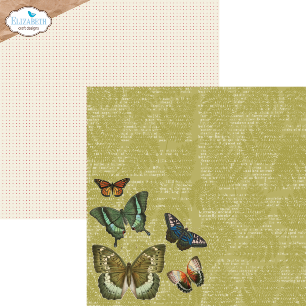 Elizabeth Craft Designs Harmonious Hodgepodge 12x12 Inch Patterned Cardstock Paper (C024) Elizabeth Craft Designs Harmonious Hodgepodge 12x12 Inch Patterned Cardstock Paper (C024)