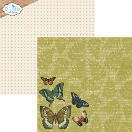 Elizabeth Craft Designs Harmonious Hodgepodge 12x12 Inch Patterned Cardstock Paper (C024) Elizabeth Craft Designs Harmonious Hodgepodge 12x12 Inch Patterned Cardstock Paper (C024)
