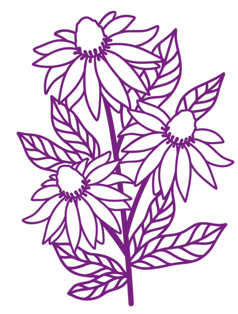 Crafter's Companion Classic Echinaceas Masking Stencil (CC-MASK-CLECH)