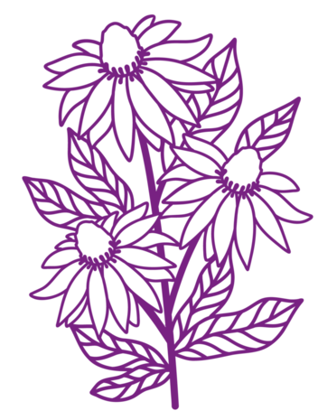 Crafter's Companion Classic Echinaceas Masking Stencil (CC-MASK-CLECH)