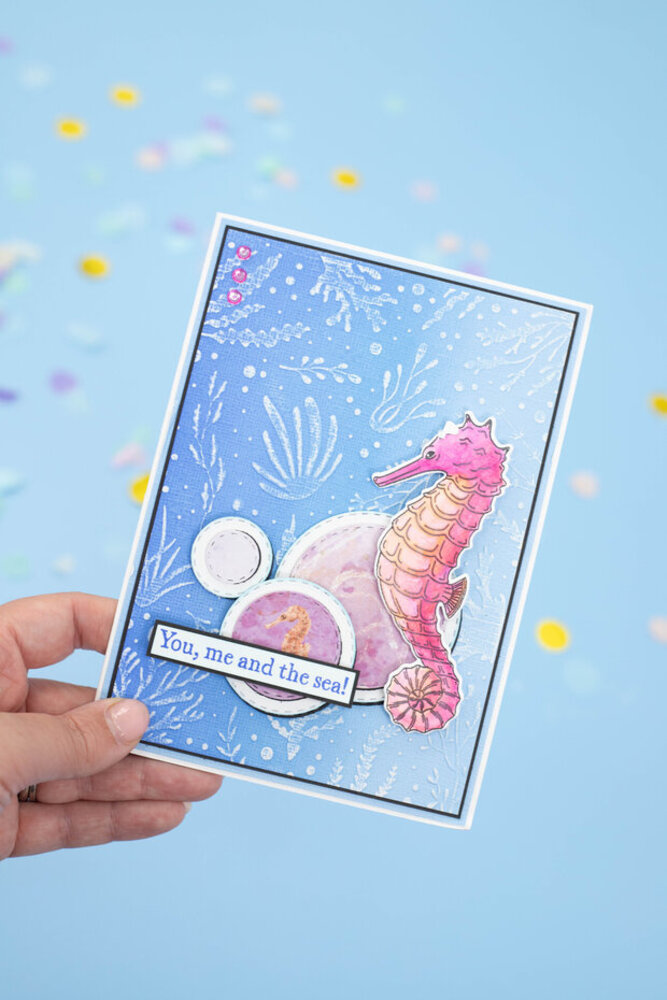 Crafter's Companion Enchanted Ocean Stamp & Die Handsome Sea Horse (S-EO-STD-HASH) Crafter's Companion Enchanted Ocean Stamp & Die Handsome Sea Horse (S-EO-STD-HASH)