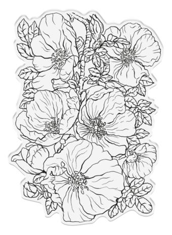 Sheena Bold Florals Clear Stamp Wild Roses (SD-ITF-BF-STP-WR) Sheena Bold Florals Clear Stamp Wild Roses (SD-ITF-BF-STP-WR)