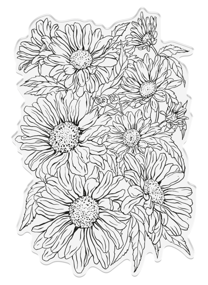 Sheena Bold Florals Clear Stamp Delightful Daisies (SD-ITF-BF-STP-DD)