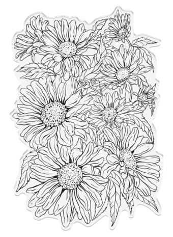 Sheena Bold Florals Clear Stamp Delightful Daisies (SD-ITF-BF-STP-DD)