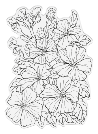 Sheena Bold Florals Clear Stamp Pretty Petunias (SD-ITF-BF-STP-PP) Sheena Bold Florals Clear Stamp Pretty Petunias (SD-ITF-BF-STP-PP)