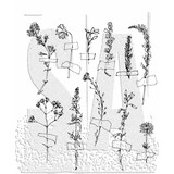 Stampers Anonymous Cling Stamps Forgotten Garden (CMS481)