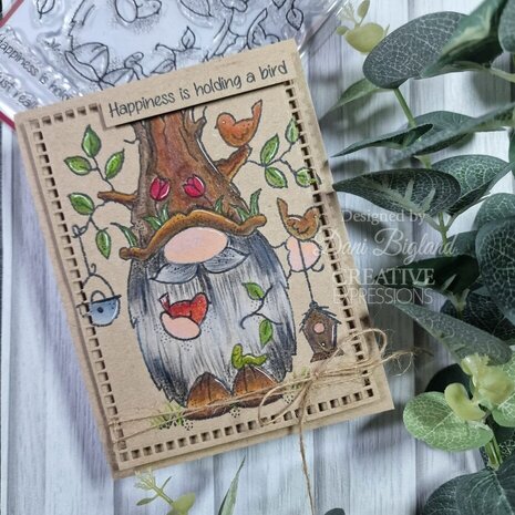 Woodware Birdwatching Clear Stamps (FRS1040)