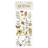 Stamperia Garden Rub-On 4x8,5 Inch Sunflower (DFLRB86)