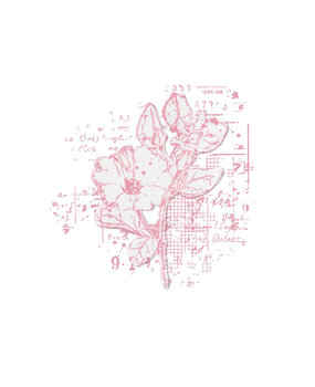 Sizzix Clear Stamps with Framelits Floral Mix Cluster (666632) Sizzix Clear Stamps with Framelits Floral Mix Cluster (666632)