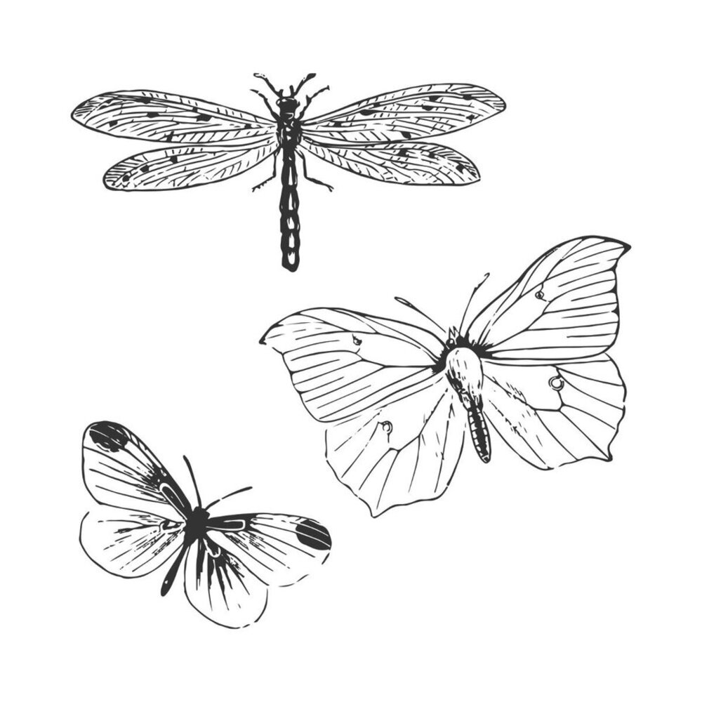 Sizzix Clear Stamps with Framelits Engraved Wings (666633) Sizzix Clear Stamps with Framelits Engraved Wings (666633)