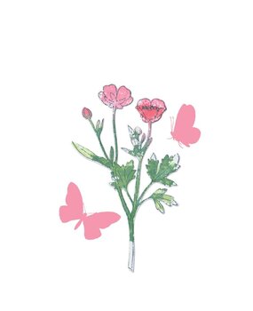 Sizzix Clear Stamps with Framelits A5 Painted Pencil Botanical (666635) Sizzix Clear Stamps with Framelits A5 Painted Pencil Botanical (666635)