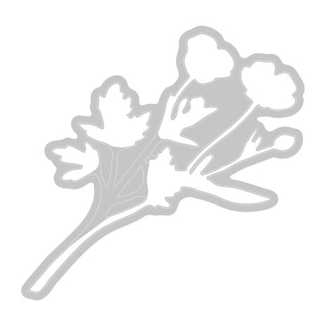 Sizzix Clear Stamps with Framelits A5 Painted Pencil Botanical (666635) Sizzix Clear Stamps with Framelits A5 Painted Pencil Botanical (666635)