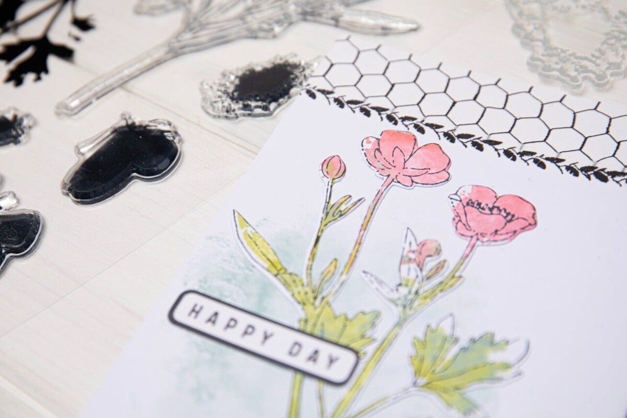 Sizzix Clear Stamps with Framelits A5 Painted Pencil Botanical (666635) Sizzix Clear Stamps with Framelits A5 Painted Pencil Botanical (666635)