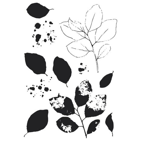 Sizzix Clear Stamps with Framelits A5 Painted Pencil Leaves (666636) Sizzix Clear Stamps with Framelits A5 Painted Pencil Leaves (666636)