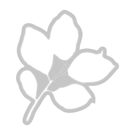 Sizzix Clear Stamps with Framelits A5 Painted Pencil Leaves (666636) Sizzix Clear Stamps with Framelits A5 Painted Pencil Leaves (666636)