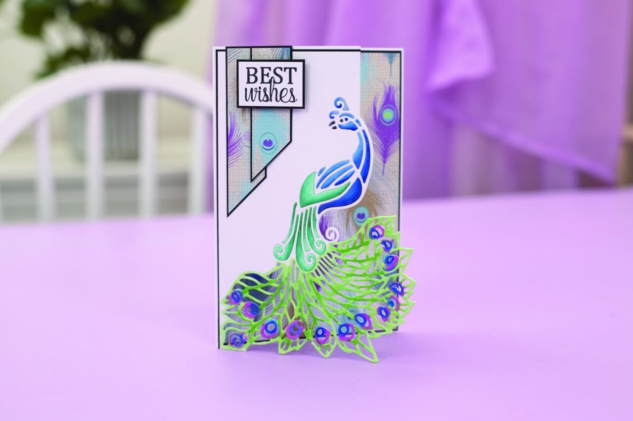 Crafter's Companion Elegant Peacock Edge'able Dies (CC-MD-EDG-ELEPE)