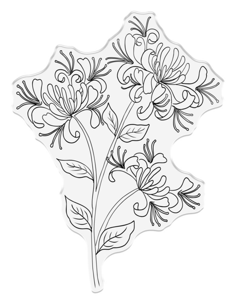 Crafter's Companion Honeysuckle Clear Stamps Honeysuckle Flower (NG-HS-CA-ST-HOFL)
