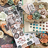 Prima Marketing Inc Nature Academia Say It In Crystals (664794) Prima Marketing Inc Nature Academia Say It In Crystals (664794)