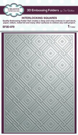 Creative Expressions Interlocking Squares 3D Embossing Folder (EF3D-079)
