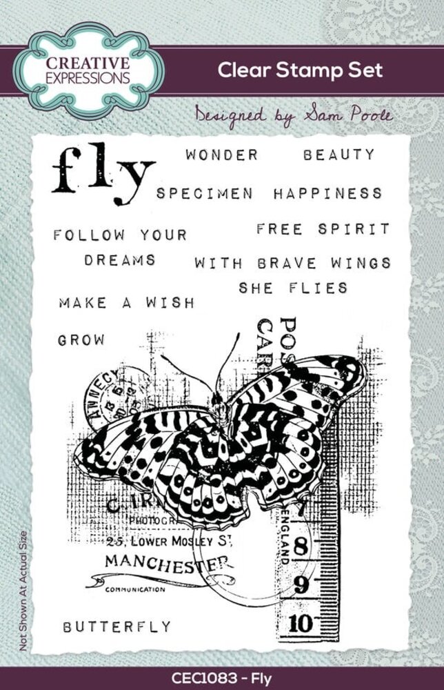 Creative Expressions Sam Poole Clear Stamp A6 Fly (CEC1083)