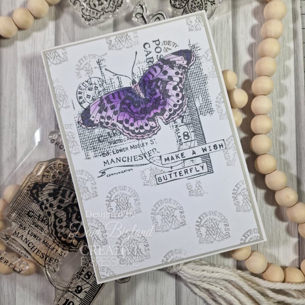 Creative Expressions Sam Poole Clear Stamp A6 Fly (CEC1083)