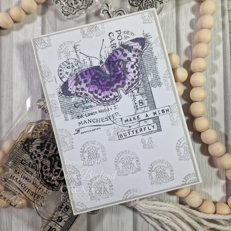 Creative Expressions Sam Poole Clear Stamp A6 Fly (CEC1083)