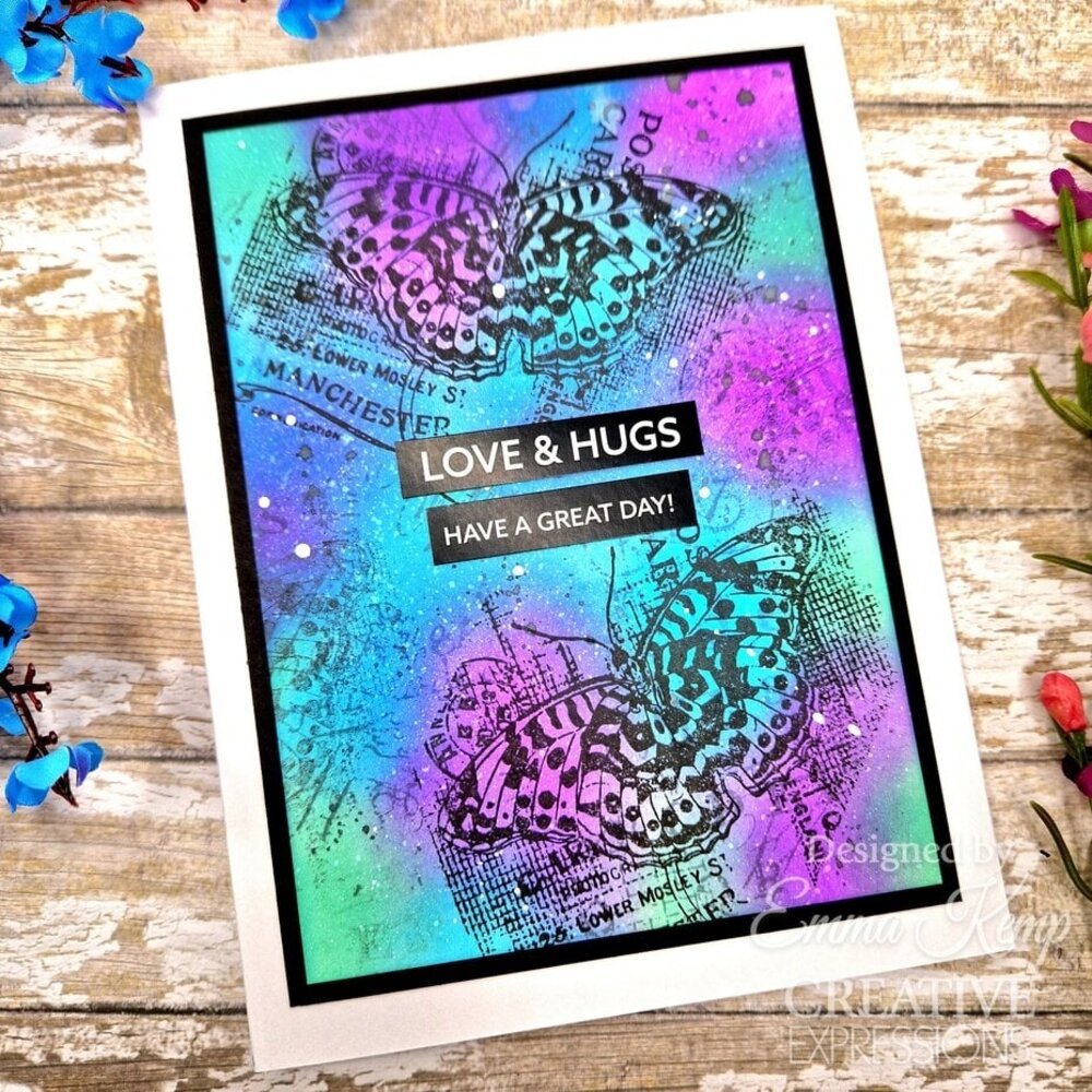 Creative Expressions Sam Poole Clear Stamp A6 Fly (CEC1083)