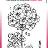 Woodware Mini Geranium Clear Stamps (FRM079) Woodware Mini Geranium Clear Stamps (FRM079)