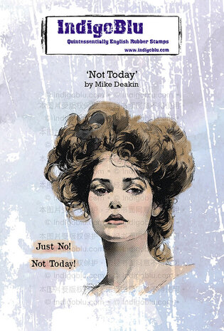 IndigoBlu Not Today A6 Rubber Stamps (IND1291) IndigoBlu Not Today A6 Rubber Stamps (IND1291)