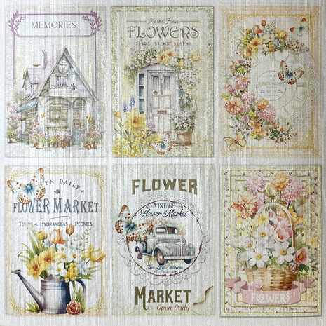 Ciao Bella Papercrafting Flower Shop 6x6 Inch Deluxe Paper (CBDQ011) Ciao Bella Papercrafting Flower Shop 6x6 Inch Deluxe Paper (CBDQ011)