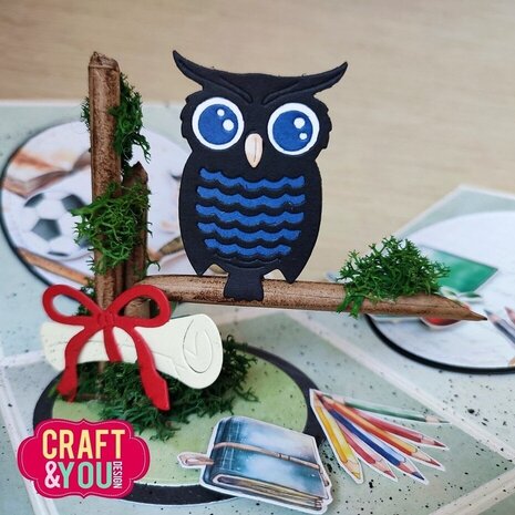 Craft & You Dies Owl Set (CW292)