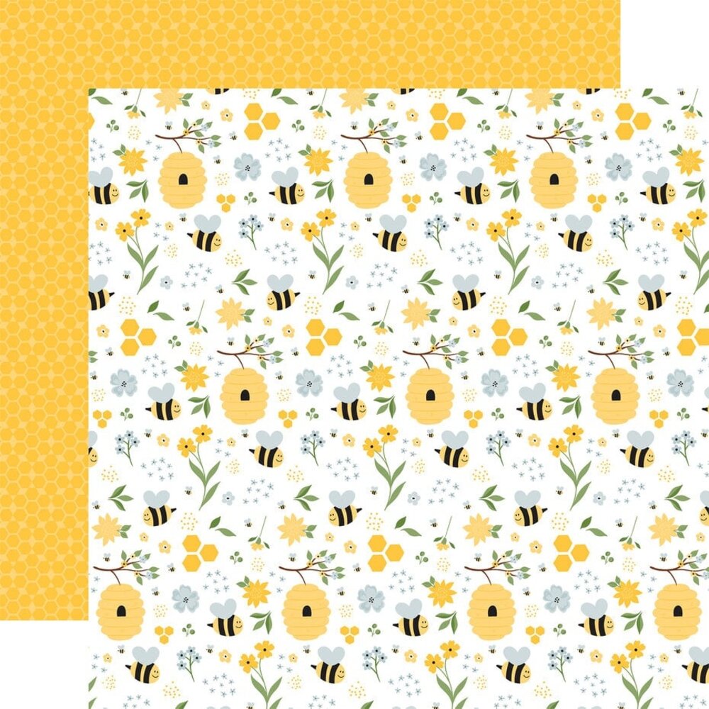 Echo Park Happy As Can Bee 12x12 Inch Collection Kit (HCB376016)
