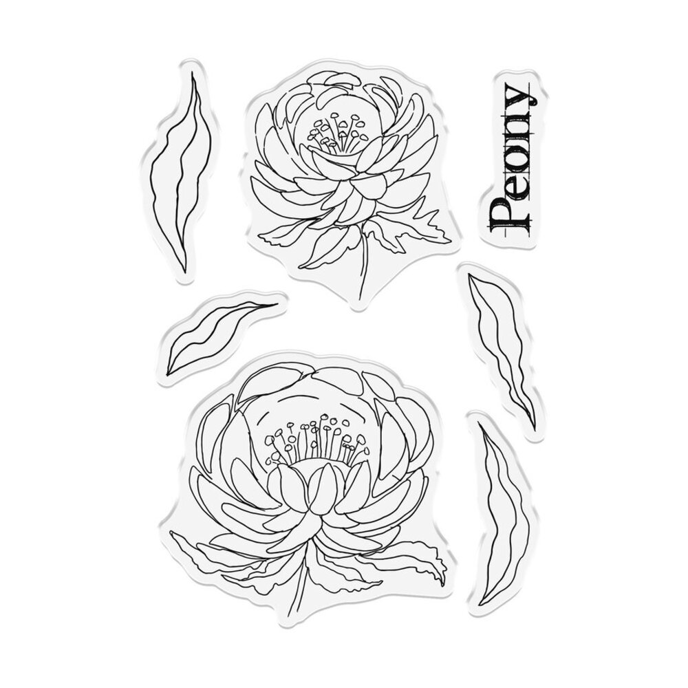Sheena Watercolour Fusion Clear Stamp Perfect Peony (SD-WF-STP-PEPE)
