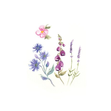 Sheena Watercolour Fusion Clear Stamp Wildflower Trio (SD-WF-STP-WITR) Sheena Watercolour Fusion Clear Stamp Wildflower Trio (SD-WF-STP-WITR)