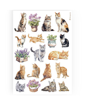 Stamperia Best Sellers Collection A4 Rice Paper Cats (DFSA4887) Stamperia Best Sellers Collection A4 Rice Paper Cats (DFSA4887)