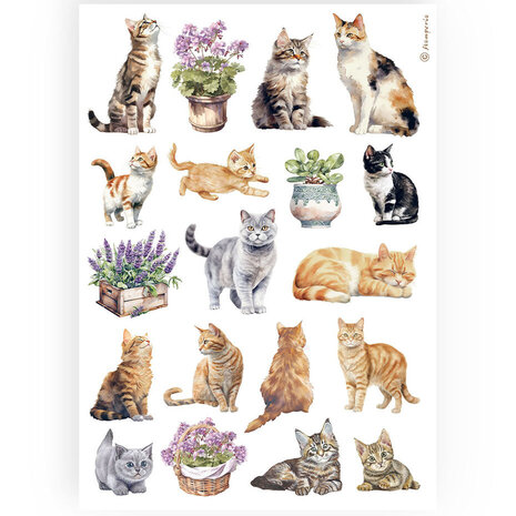 Stamperia Best Sellers Collection A4 Rice Paper Cats (DFSA4887) Stamperia Best Sellers Collection A4 Rice Paper Cats (DFSA4887)