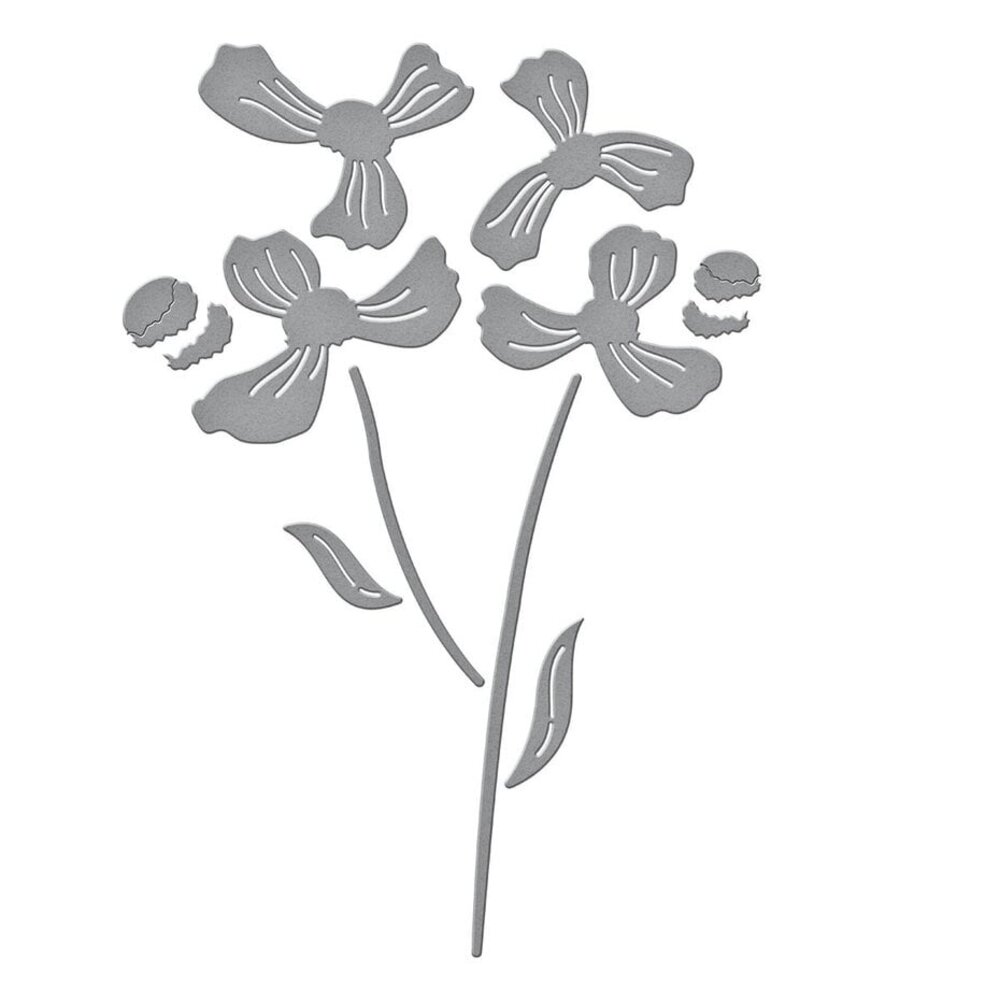 Spellbinders Spotlight Frames & Florals Layered Anemone Dies (S2-401) Spellbinders Spotlight Frames & Florals Layered Anemone Dies (S2-401)
