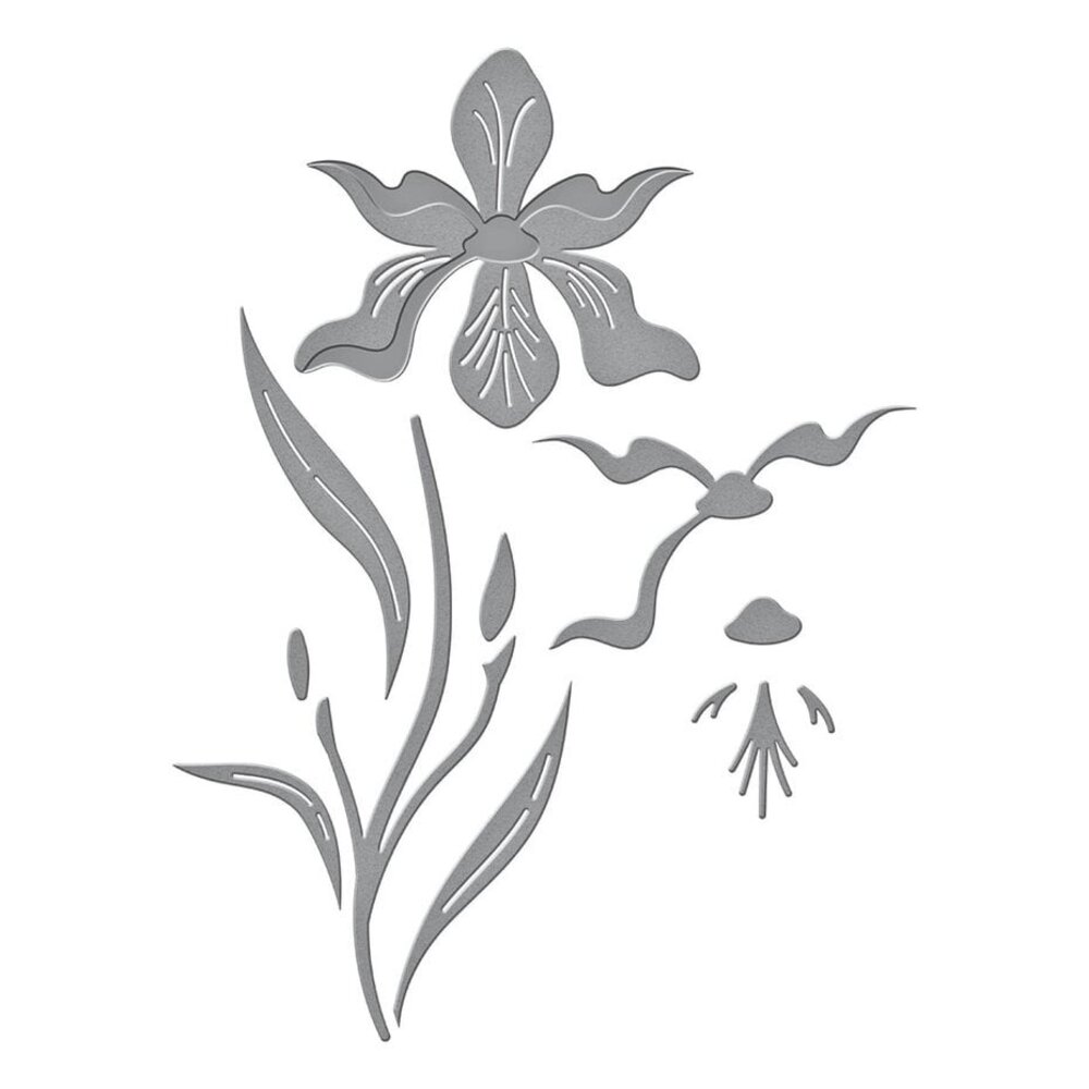 Spellbinders Spotlight Frames & Florals Layered Iris Dies (S3-509) Spellbinders Spotlight Frames & Florals Layered Iris Dies (S3-509)